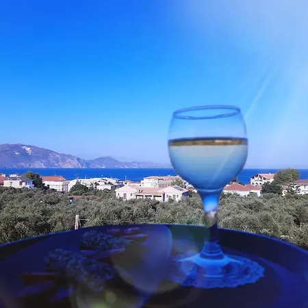 Bed & Breakfast Armonia By Zante Plaza 2*