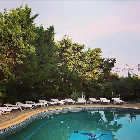 Armonia By Zante Plaza Bed & Breakfast Laganas